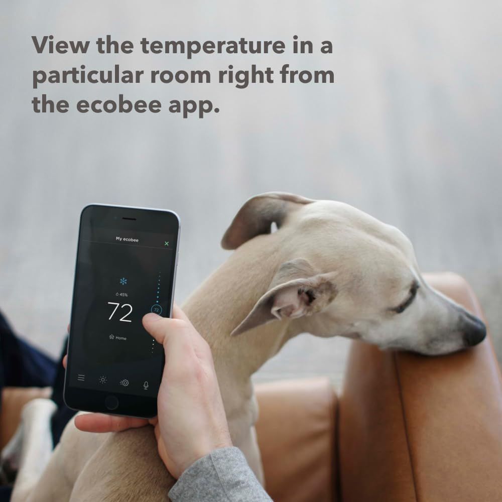 Ecobee SmartSensors for Indoor (2 Pack) - White
