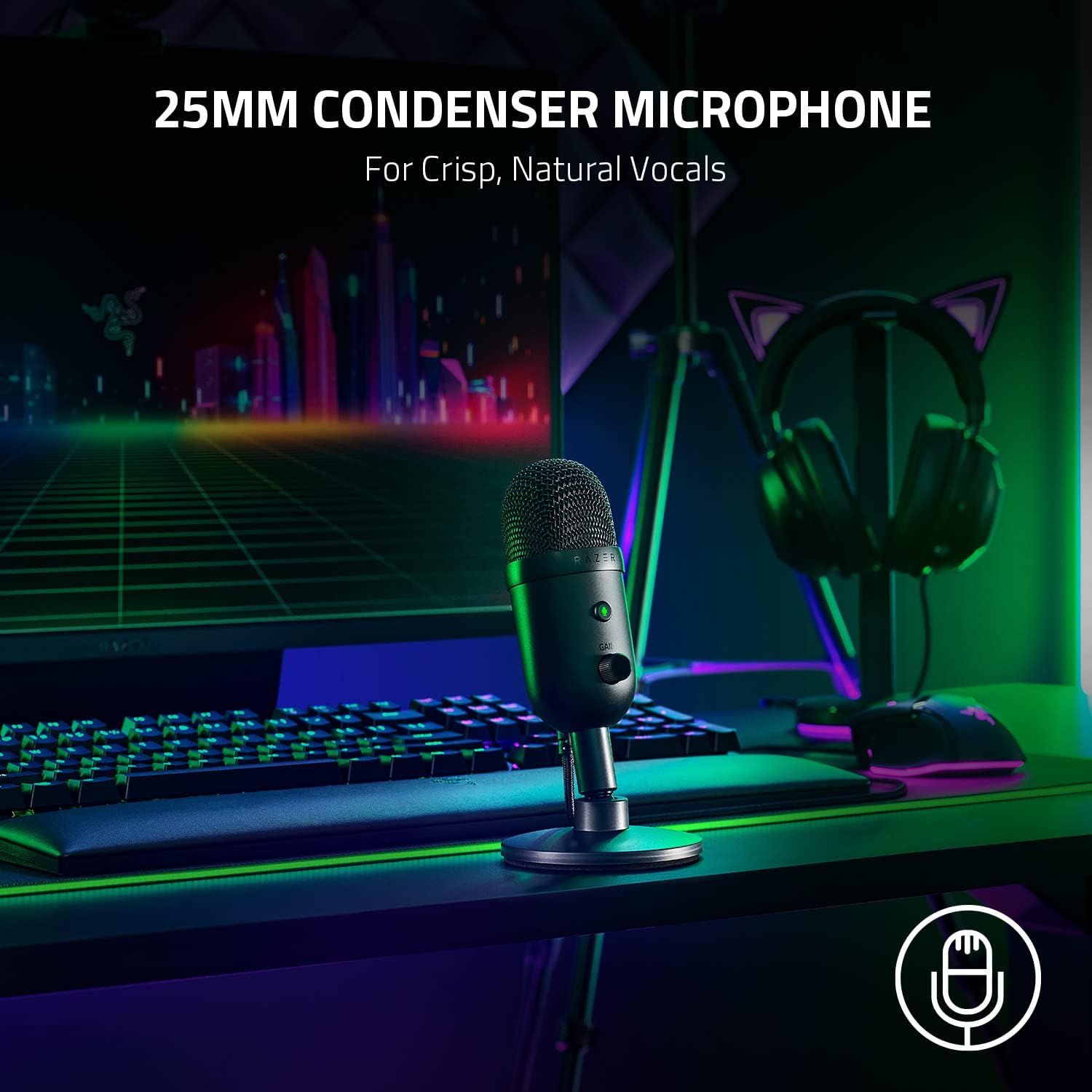 Razer Seiren V2 X USB Condenser Microphone for Streamers - Black