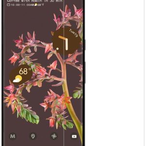 Axessorize ArmorGlass Screen Protector for Google Pixel 7