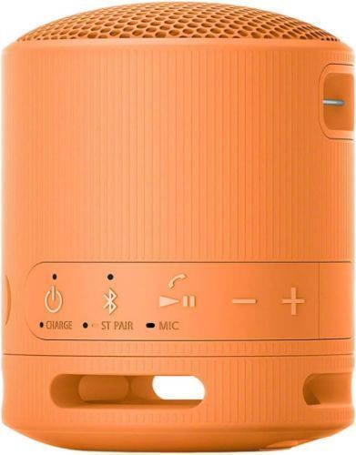 Sony SRS-XB100 Portable Wireless Speaker - Image 14
