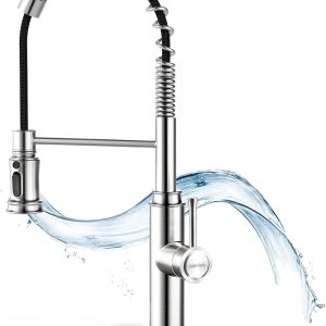 WaterSong Kitchen Sink Pull-Down Faucet WS062100BN