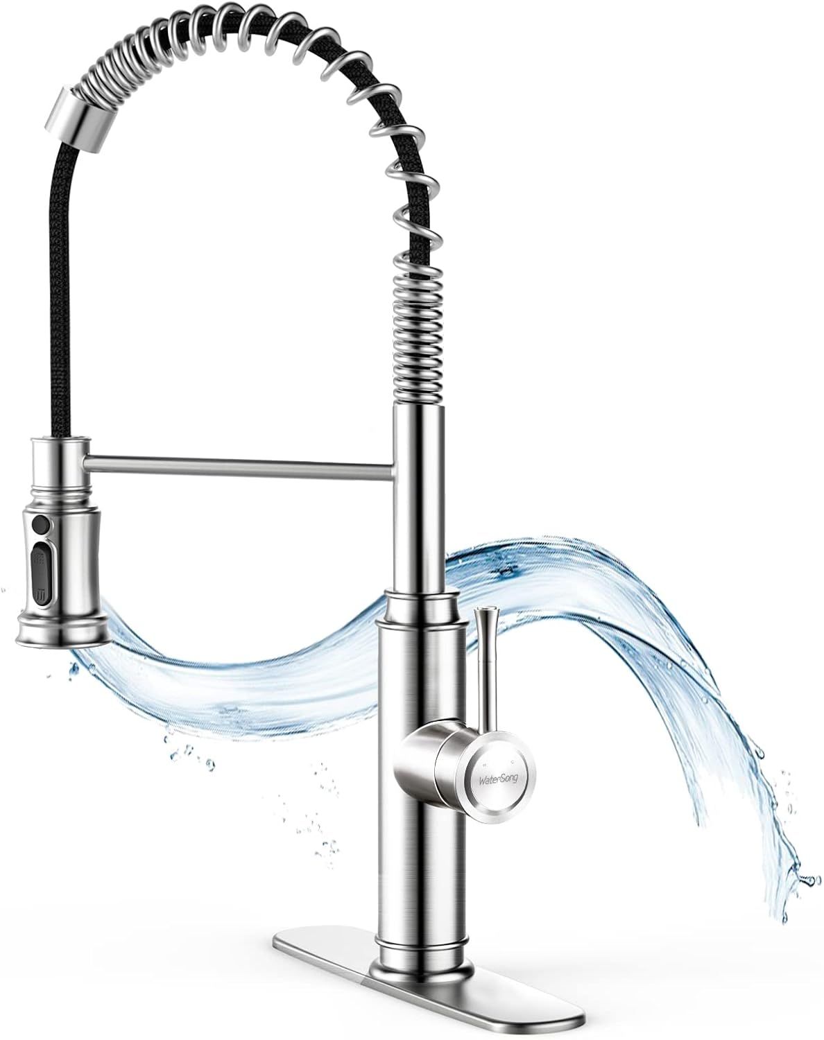 WaterSong Kitchen Sink Pull-Down Faucet WS062100BN