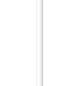Apple Pencil 1st Generation