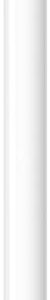 Apple Pencil (1st Generation) with USB-C to Apple Pencil Adapter