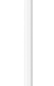 Apple Pencil (USB-C)