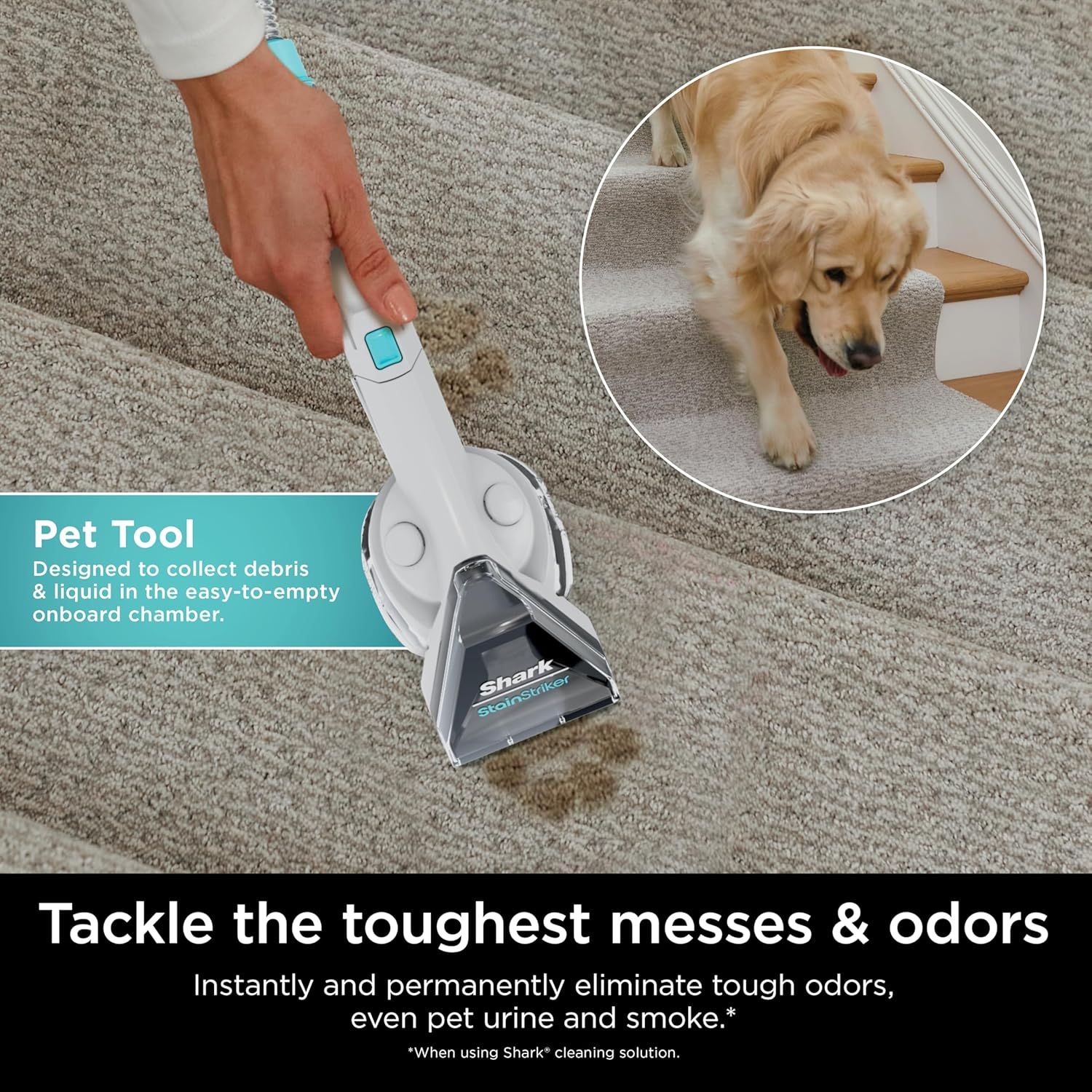 Shark Stainstriker Portable Carpet And Upholstery Cleaner PX201 - Image 4